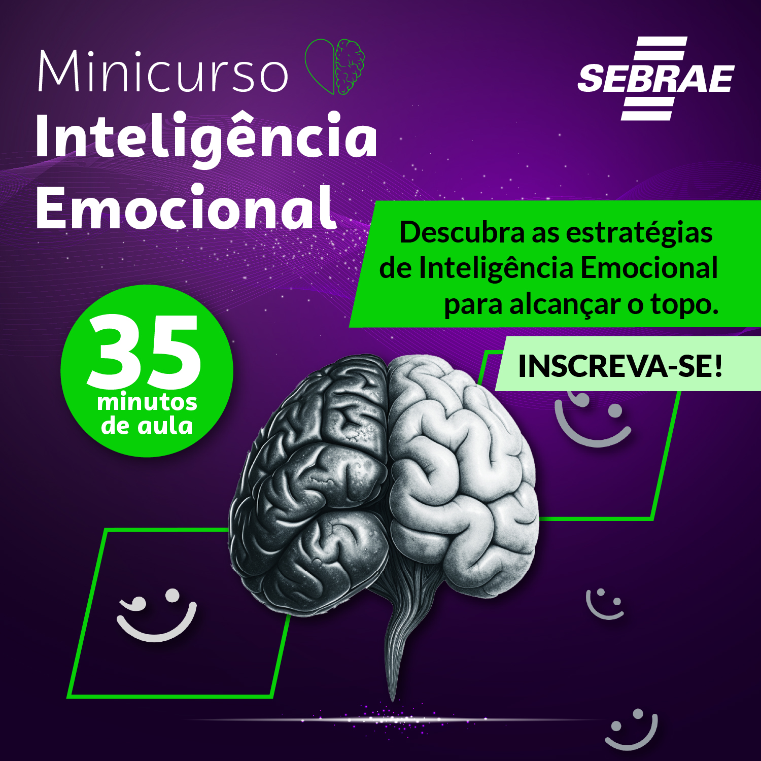 Minicurso Inteligência Emocional