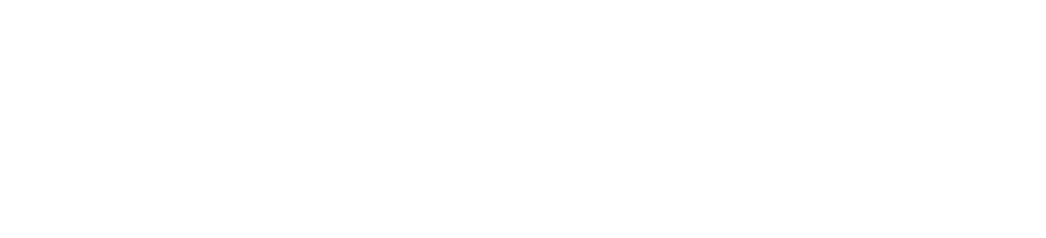 Missão Empresaria Internacional